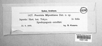 Puccinia miyoshiana image